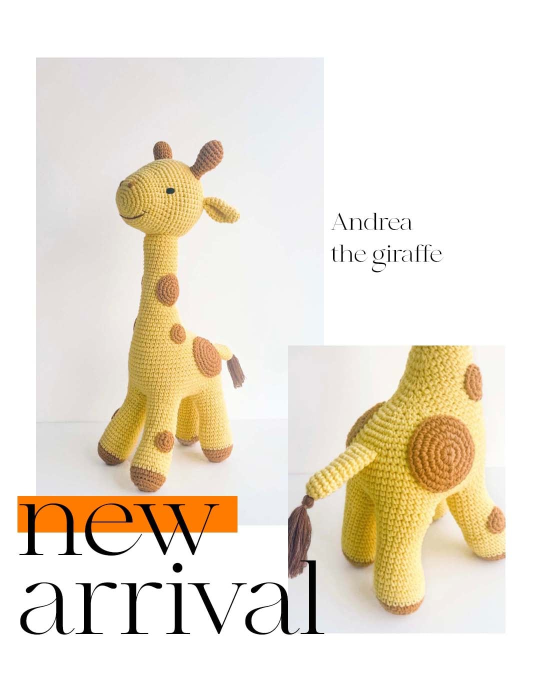 Andrea the Giraffe